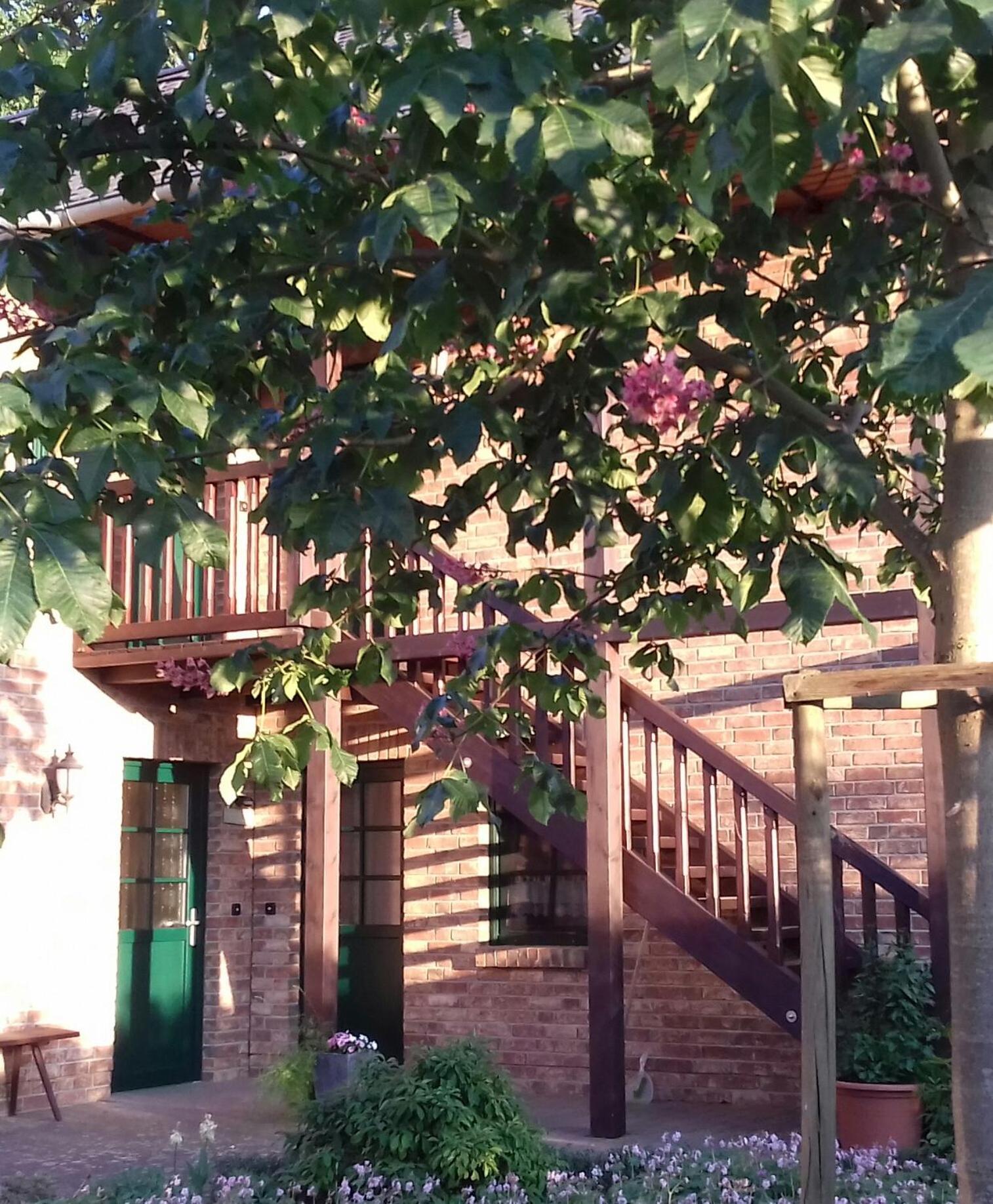 Appartement Kastanienhof à Burg  Extérieur photo